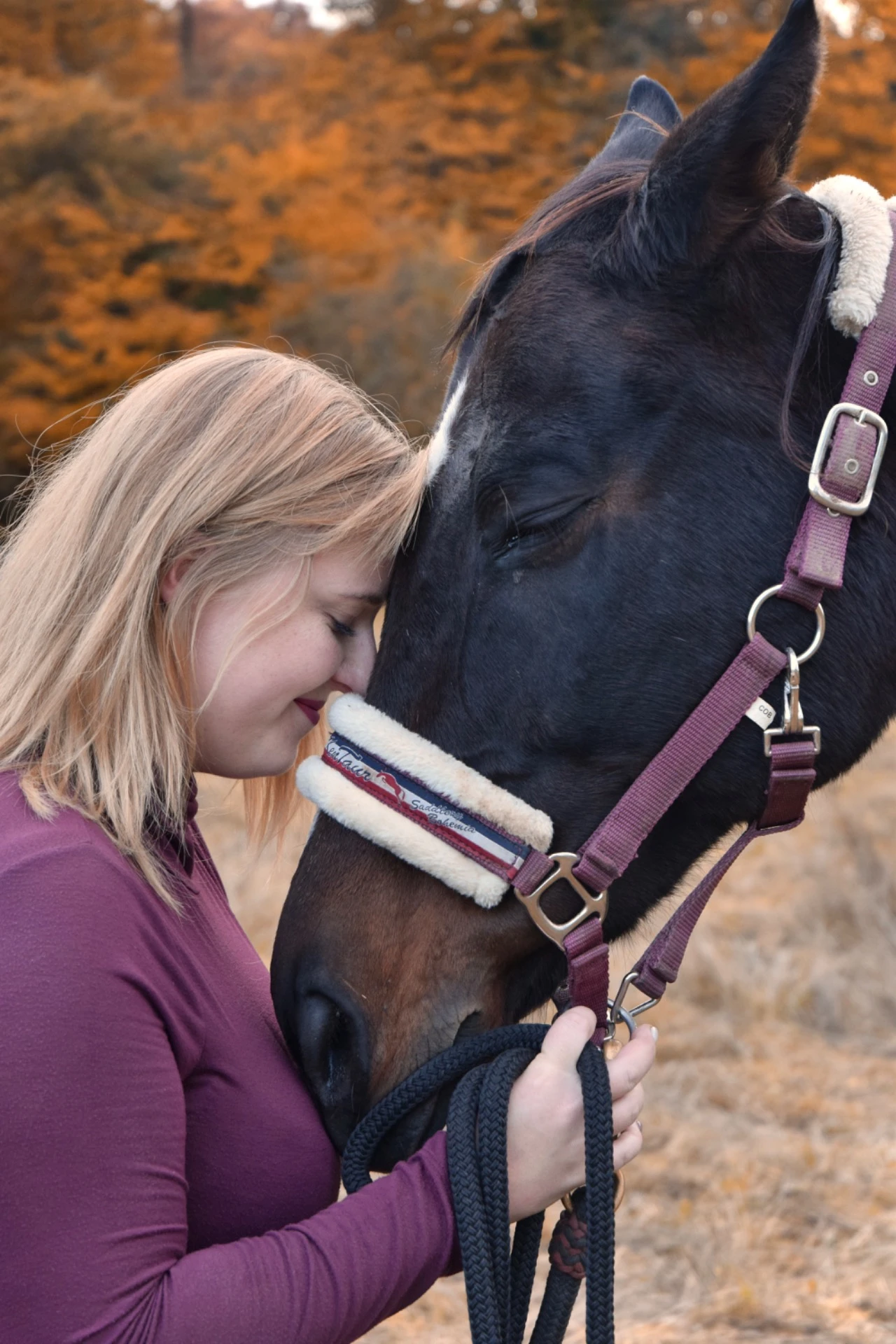 Kaci s koněm v přírodě